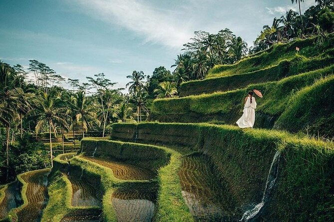 Ubud: Swing - Monkey Forest - Waterfall - Temple - Rice Terraces - Art Crafts - Sacred Monkey Forest: shaded paths and close encounters