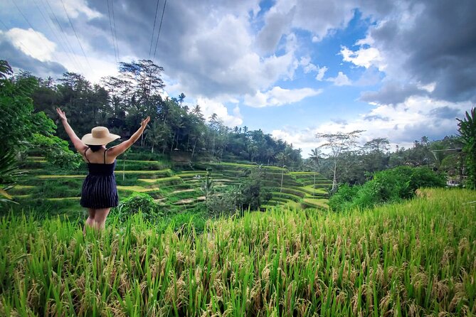 UBUD : Temple and Waterfall All Inclusive Day Tour - Semar Kuning Artist Cooperative and Ubud painting