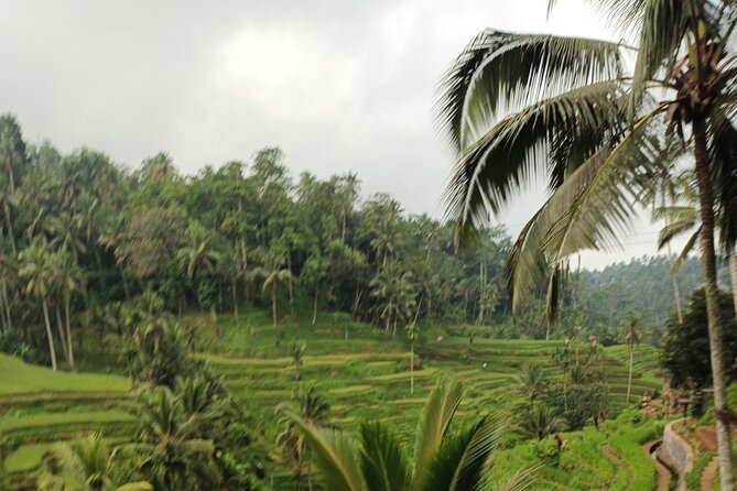 UBUD : Temple and Waterfall All Inclusive Day Tour - Is $28 good value?