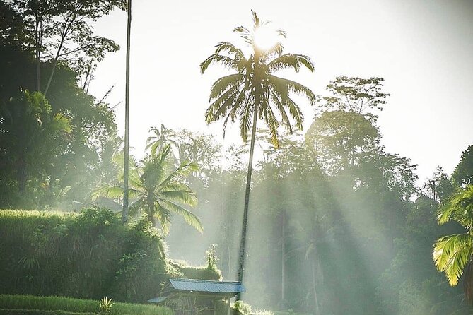 Ubud Temples, Waterfalls, Rice Terraces & Balinese Culture - Guides who make the long day easier