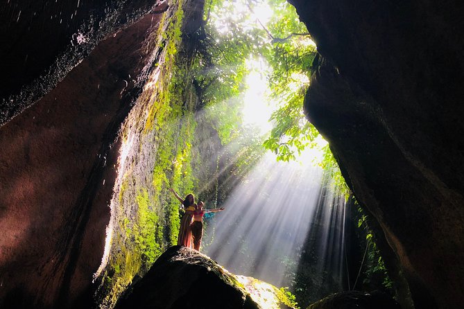 Ubud Temples, Waterfalls, Rice Terraces & Balinese Culture - Sacred Monkey Forest Sanctuary on shaded jungle paths