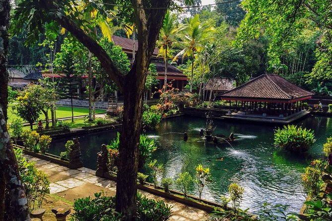 Ubud Top Attractions: Waterfalls, Temples and Rice Terraces - d’Alas Swing above the jungle valley