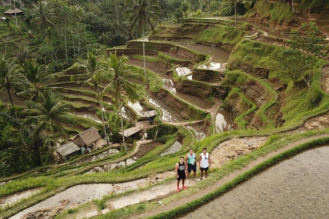 Ubud Top Attractions: Waterfalls, Temples and Rice Terraces - Why the private driver changes the experience