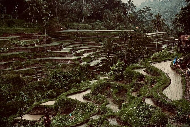 Ubud Top Tours to Discover Bali’s Cultural and Natural Wonders - Why this Ubud day works well from Kuta