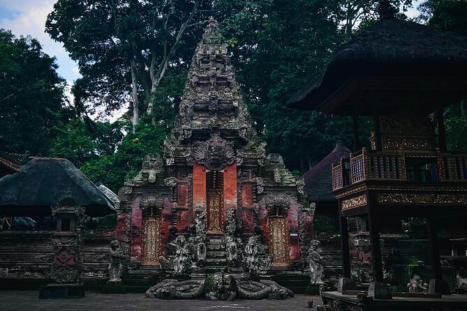 Ubud Top Tours to Discover Bali’s Cultural and Natural Wonders - What your private driver adds to the day
