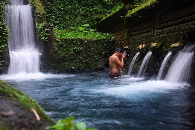 Ubud Tour - Balinese Healing By Shaman And Self Purification - What this Ubud healing day is really about