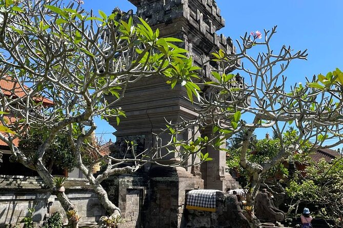 Ubud Tour - Highlight of Ubud - Traditional Tour - What the $85 price really covers