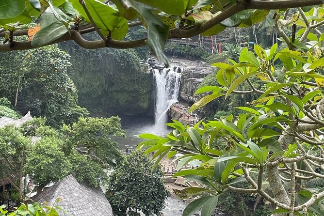 Ubud Tour - Highlight of Ubud - Traditional Tour - Walking through the Sacred Monkey Forest Sanctuary