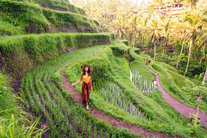 Ubud Tour with Swing, Temple, Monkey Forest, and Waterfall - Why this Ubud day works well