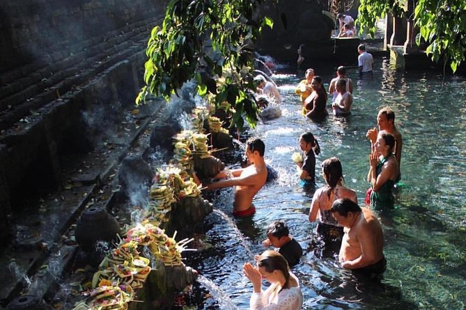 Ubud Trip, The Best of Ubud in a day - All Inclusive - Tegalalang Rice Terrace: Bali’s famous farming view