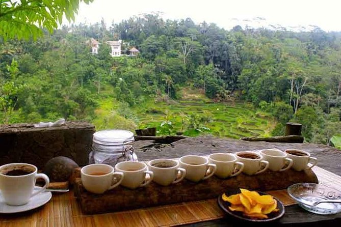 Ubud Trip, The Best of Ubud in a day - All Inclusive - Tegenungan Waterfall: a final change of pace