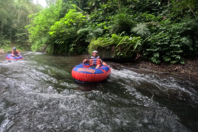 Ubud Tubing Adventure Holy Spring Temple Private Guided Tour - The value of a private guide