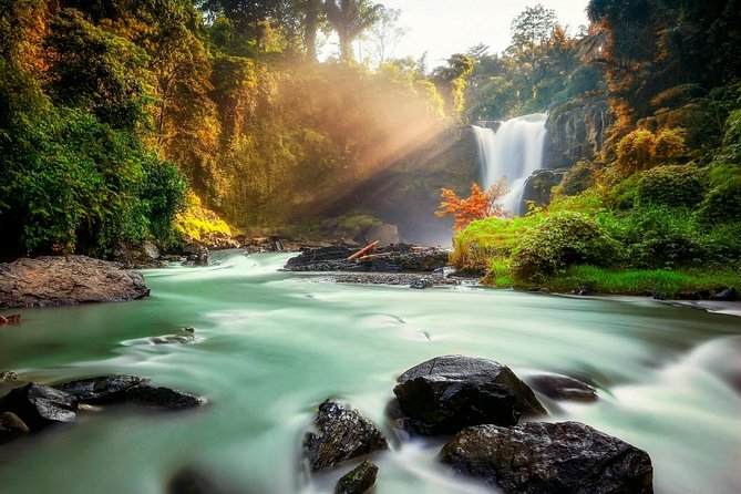 Ubud Village Sightseeing, Famous Paddy Field And Ubud Waterfall - What this Ubud day trip is really like