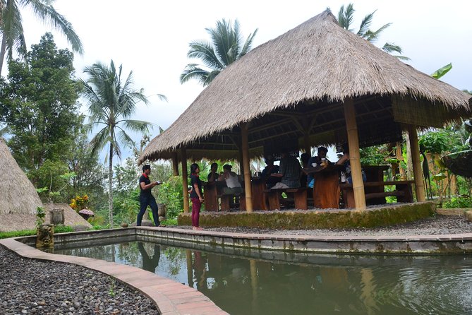 Ubud Village Sightseeing, Famous Paddy Field And Ubud Waterfall - Is $45 a good value?