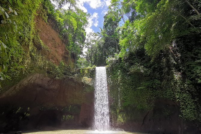 Ubud Village, Tegalalang Rice Terrace Swing, Tirta Empul Temple and Waterfafall - Tirta Empul’s Holy Spring Pools