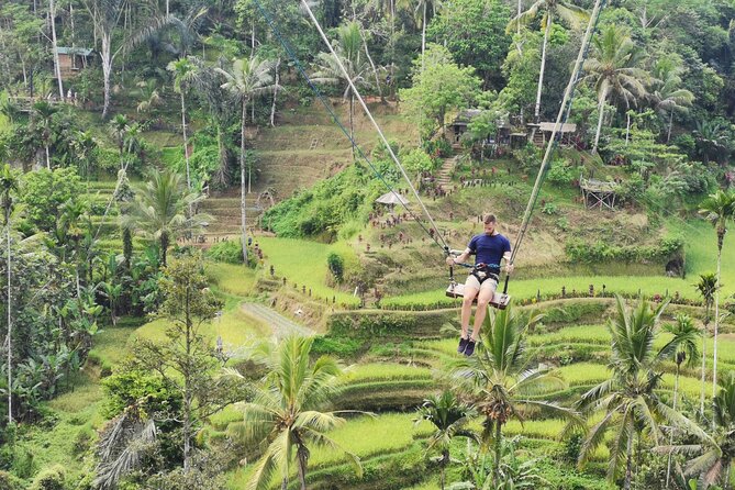 Ubud Village, Tegalalang Rice Terrace Swing, Tirta Empul Temple and Waterfafall - The Pace, Timing, and Physical Demands