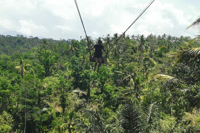 Ubud Village, Tegalalang Rice Terrace Swing, Tirta Empul Temple and Waterfafall - Tegalalang Rice Terrace for Bali’s Classic Views