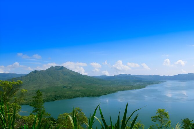 Ubud Village, Waterfall and Kintamani Volcano Tour - Monkey Forest adds Ubud’s most playful stop