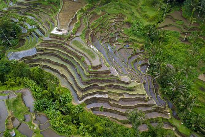 Ubud Volcano Lake and Natural Hot Spring Tour - Tirta Empul brings local ritual into the day