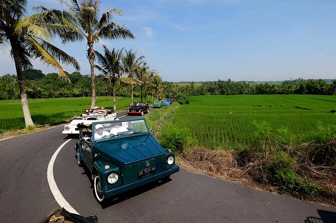 Ubud VW Safari Bali Tour - Volkswagen Classic Car Trip - Why the Volkswagen Safari makes this Ubud day different