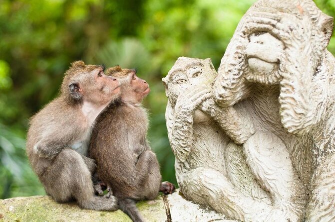 Ubud: Waterfall, Rice Terraces, and Monkey Forest Private Tour - Key points to know