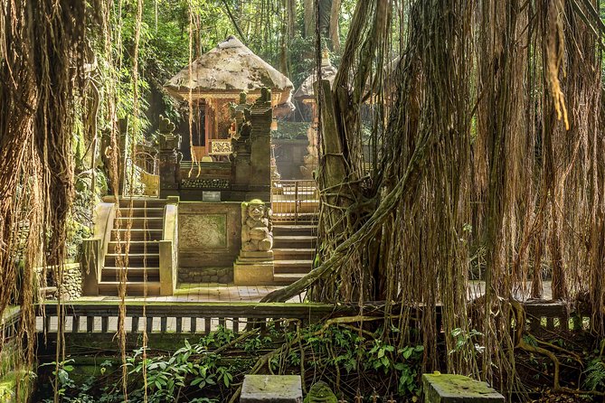 Ubud: Waterfall, Rice Terraces, and Monkey Forest Private Tour - Lunch and the practical middle of the day