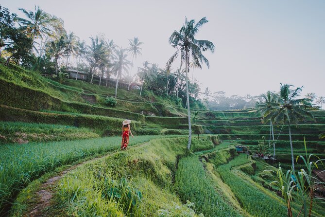 Ubud: Waterfall, Rice Terraces, and Monkey Forest Private Tour - Meeting macaques in the Sacred Monkey Forest