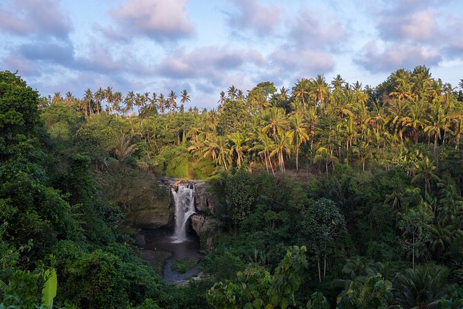 Ubud waterfall, rice terraces, and swing explore - Why the private car changes the value