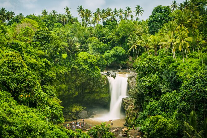 Ubud waterfall, rice terraces, and swing explore - What the $41 price really includes