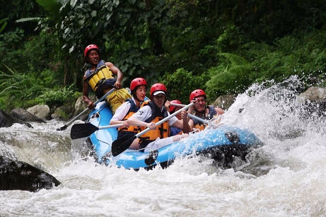 Ubud White Water Rafting with Waterfall and Lunch - Key things to know before you book
