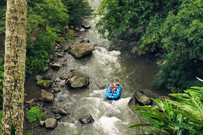 Ubud White Water Rafting with Waterfall and Lunch - Why the Ayung River is the real attraction