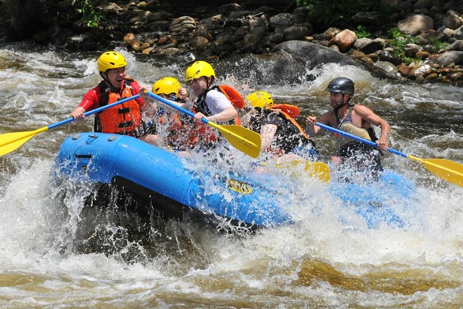 Ubud White Water Rafting with Waterfall and Lunch - Two hours of rapids, jungle, and waterfalls