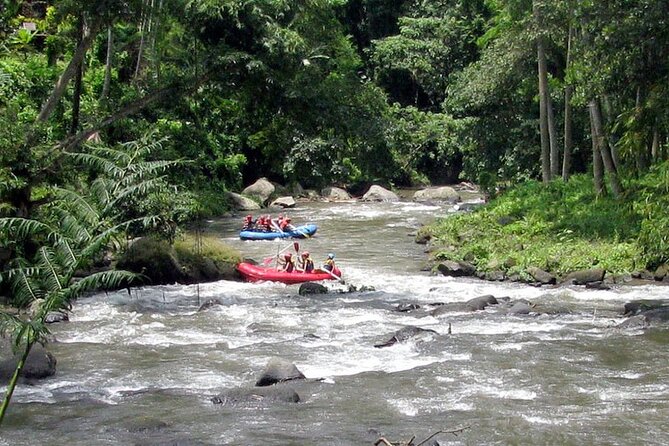 Ubud White Water Rafting with Waterfall and Lunch - Who should book this Ayung rafting trip?