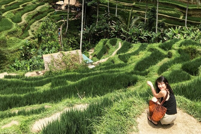 Ultimate Ubud Experience All Inclusive Private Day Tour - The price, inclusions, and the all-inclusive warning
