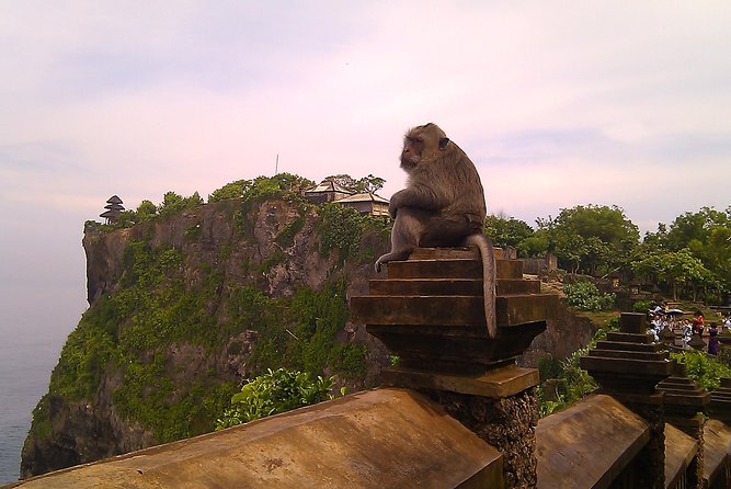 Uluwatu Temple & Kecak Fire Dance Tour - Is $37 good value?