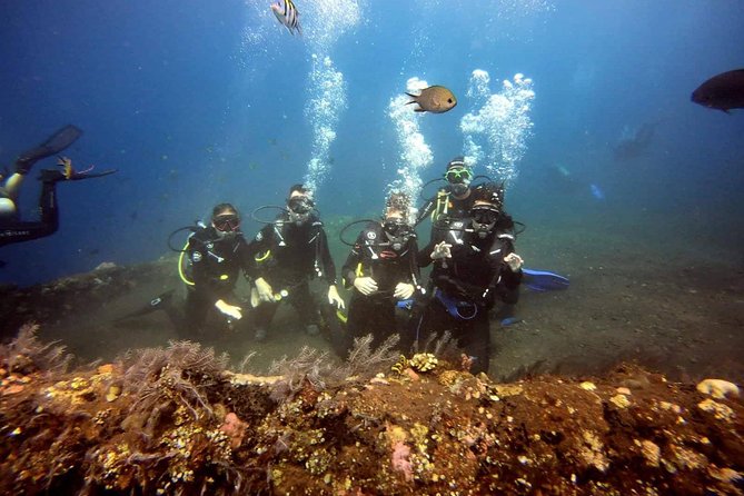 USS Liberty Shipwreck Scuba Diving at Tulamben Bali - The second session: coral, passageways, and macro life