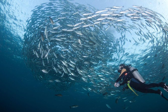 USS Liberty Shipwreck Scuba Diving at Tulamben Bali - Is $109.50 good value?