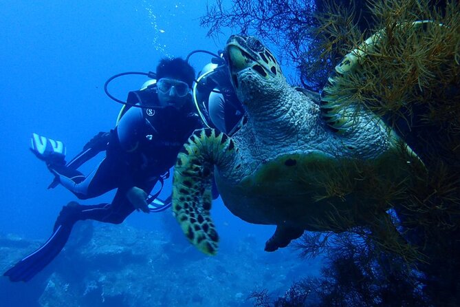 USS Liberty Shipwreck Scuba Diving at Tulamben Bali - What your 10-hour day looks like