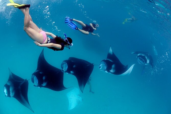 VIP Private Boat to Nusa Penida: Snorkeling with Mantas + Land Tour Adventure - Lunch on Nusa Penida and a change of pace