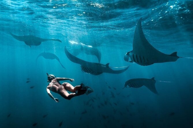 VIP Private Boat to Nusa Penida: Snorkeling with Mantas + Land Tour Adventure - Kelingking Cliff, the famous photo stop