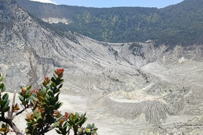 Volcano and Domas Crater of Hot Stony Bubble from Jakarta Lunch - Lunch beside rice fields and tea plants