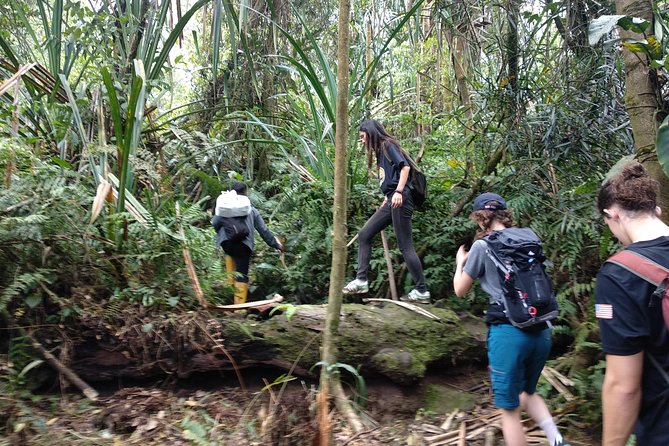 volcano hike and jungle trekking adventure - Waterfall swimming and geothermal hot springs