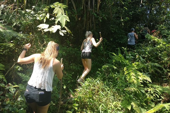 volcano hike and jungle trekking adventure - Rice fields, rivers, and the quieter side of Java