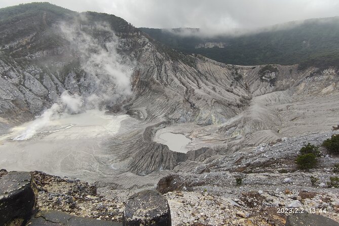 Volcano, Hot Spring, Tea Factory, rice fields and Coffee Tour - The rice fields near Subang