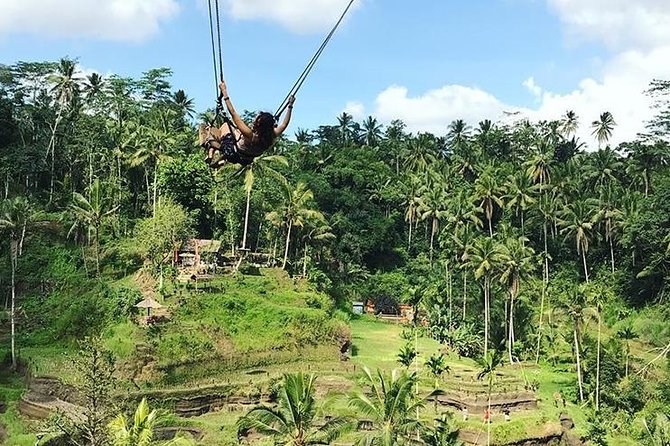 Water Rafting adventure with Jungle Swing & rice terraces - A full day built around the Ayung River