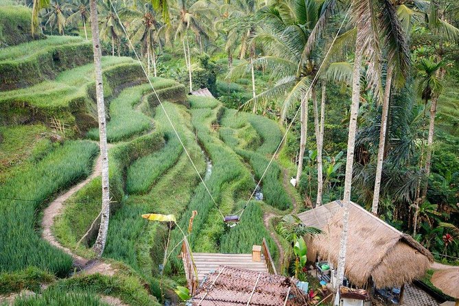 Water Rafting adventure with Jungle Swing & rice terraces - What the 10 to 12 kilometer rafting run feels like