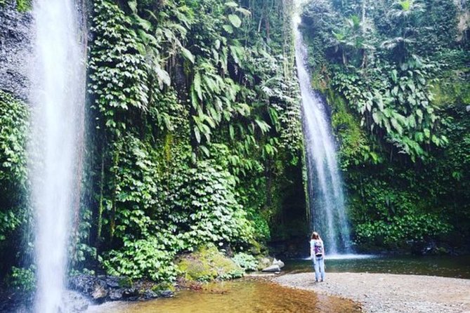 Waterfall Tour And Sasak Traditional Tour - Rice terraces between the stops
