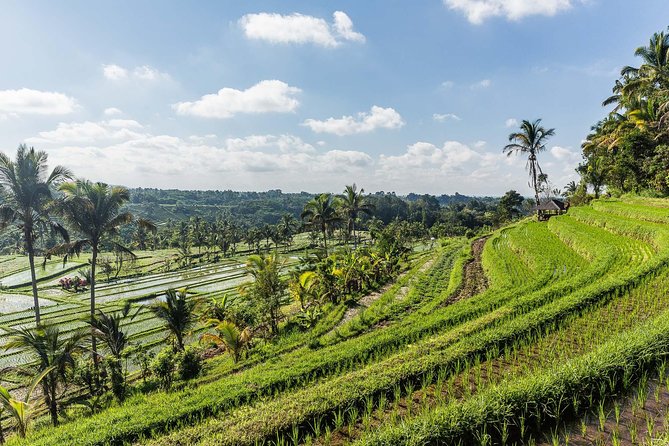 West Bali Tour: Taman Ayun, Ulun Danu Beratan, Jatiluwih Rice Terrace, Tanah Lot - Tanah Lot at sunset