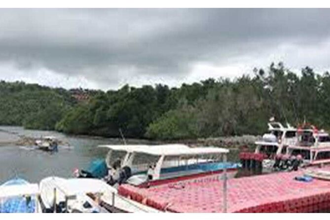 West Nusa Penida Full-Day Private Tour - Sanur and the boat connection add useful structure