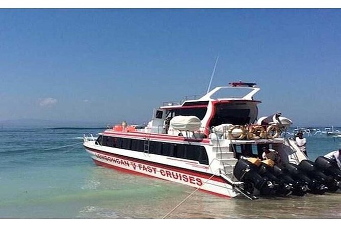 West Nusa Penida Full-Day Private Tour - Crystal Bay is scenic, but clarify what you want to do